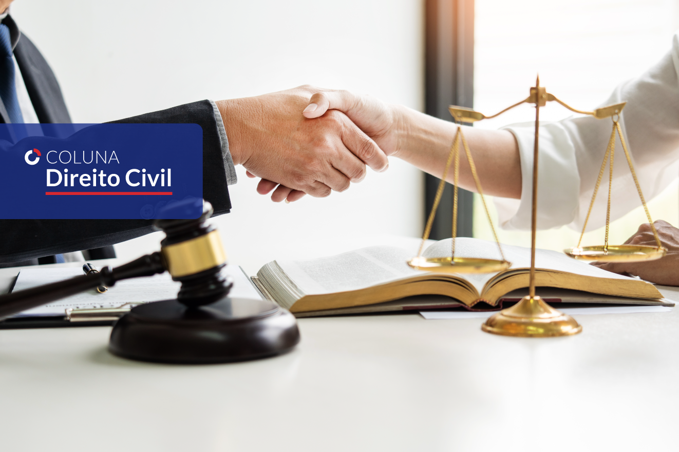 Direito Civil na Legalidade Constitucional | Coluna Direito Civil