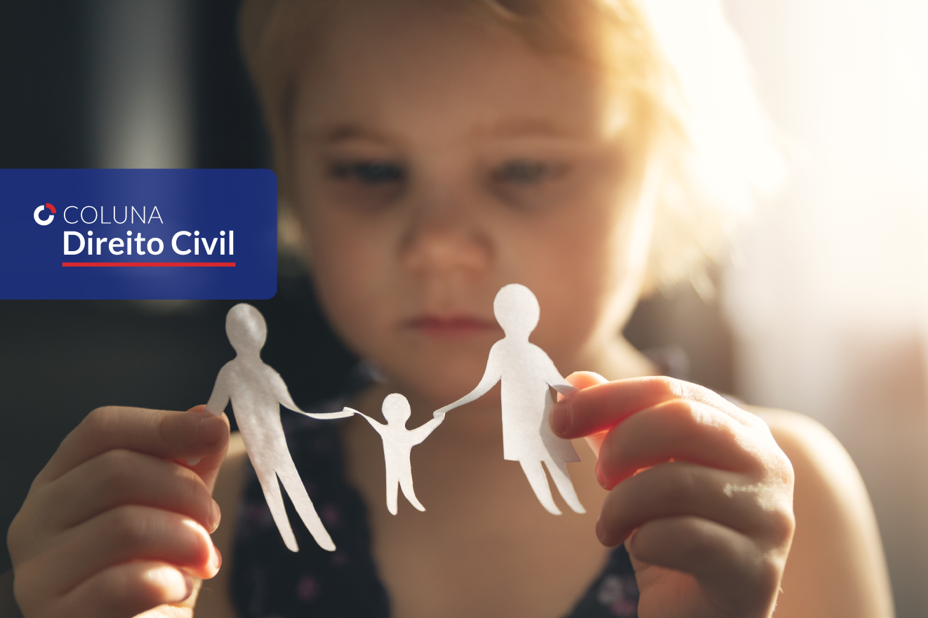 A Lei da Alienação Parental (Lei nº 12.318/10) e sua (in)constitucionalidade | Coluna Direito Civil